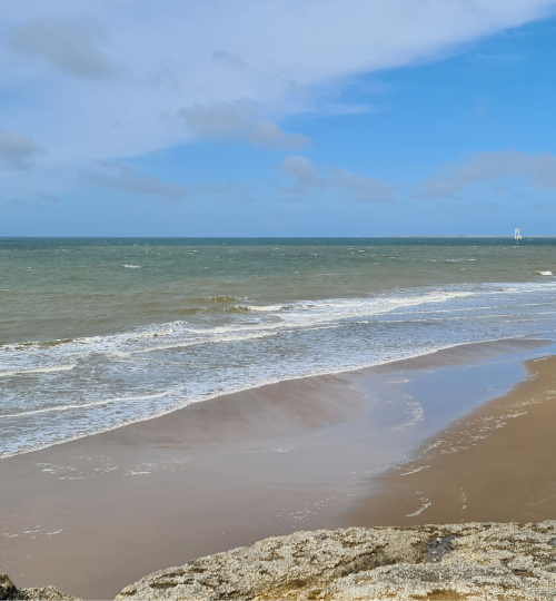 Plage des Pins de Cordouan - Les Mathes - Charentes maritimes