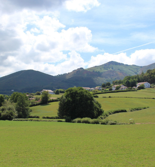paysage