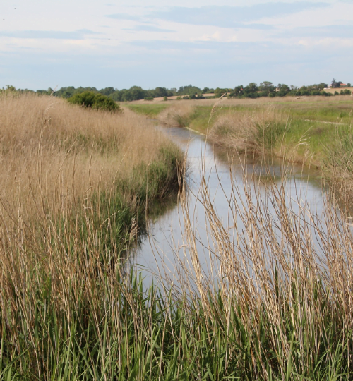 marais poitevin
