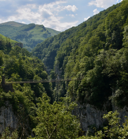 pont suspendu